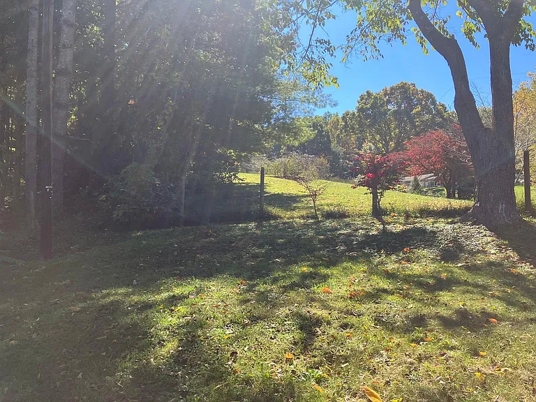 Back yard, view from back porch