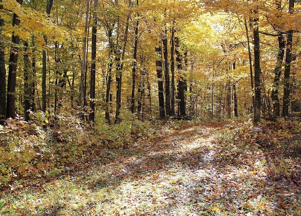 2nd image of 818 Wisconsin Bay Rd Lot 2