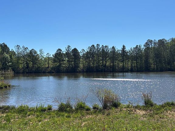 2nd image of 0 County Road 6618