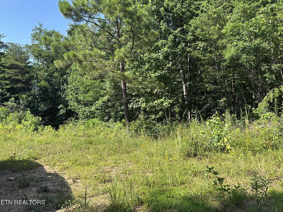 2nd image of 803 Chestnut Mountain Rd