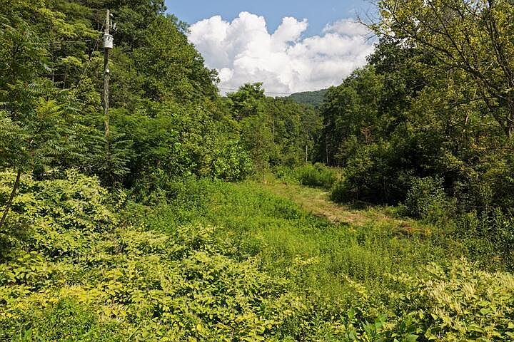 1st image of 33.88 Acres Baptist Hollow Rd