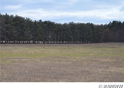 4th image of 12 Ac Spehle Road
