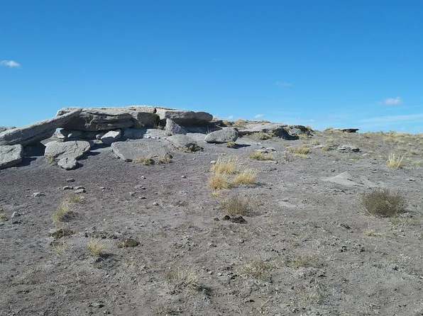 River Meadows Rnch, Concho, AZ 85924