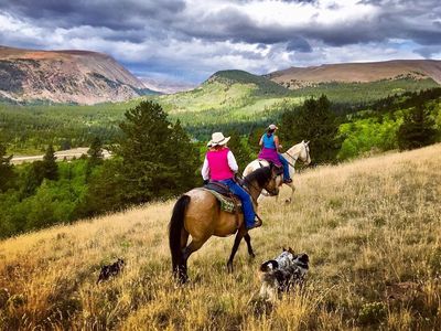 2445 County Road 12, Alma, CO, 80420