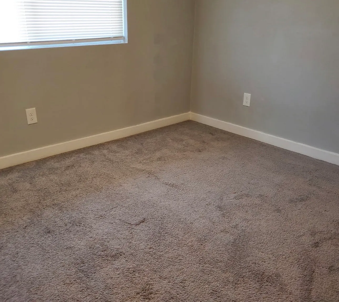 2 bed, 450 sqft, $1,450 — Photo 3