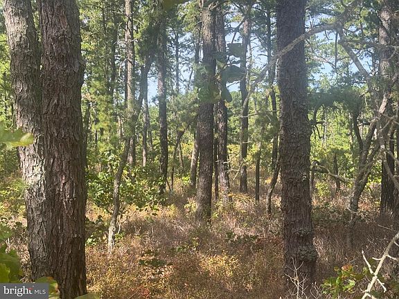 2nd image of 0 Lebanon Rd