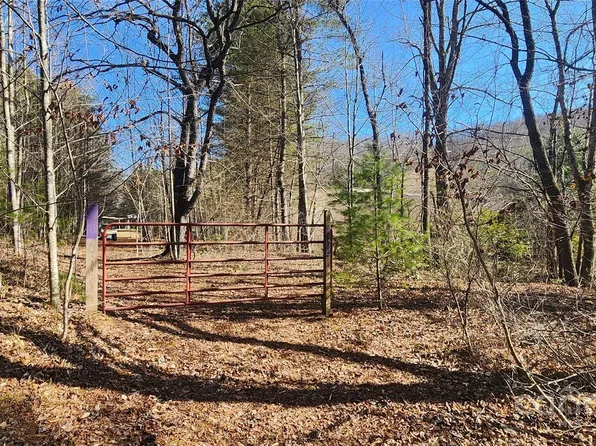 2592 Tanasee Gap Rd, Balsam Grove, NC 28708
