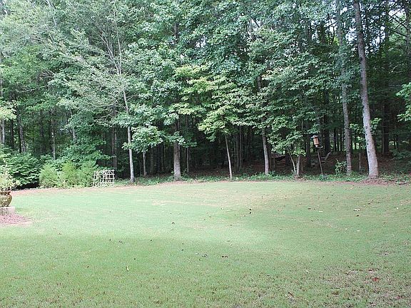 A dream for kids and dogs! 