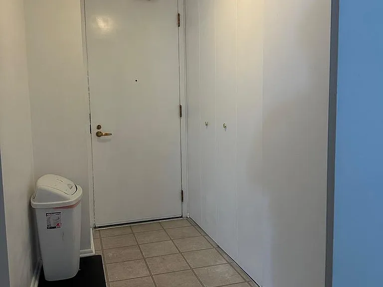 400 E Randolph St #921 — Photo 6