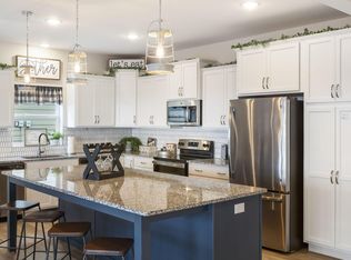 113 David Shawn Dr, Branson, MO 65616