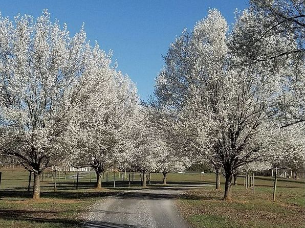 2035 Soapstone Mountain Rd