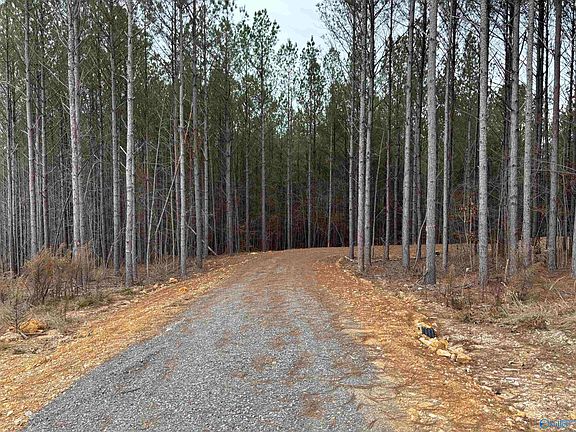 3rd image of 1 County Road 155