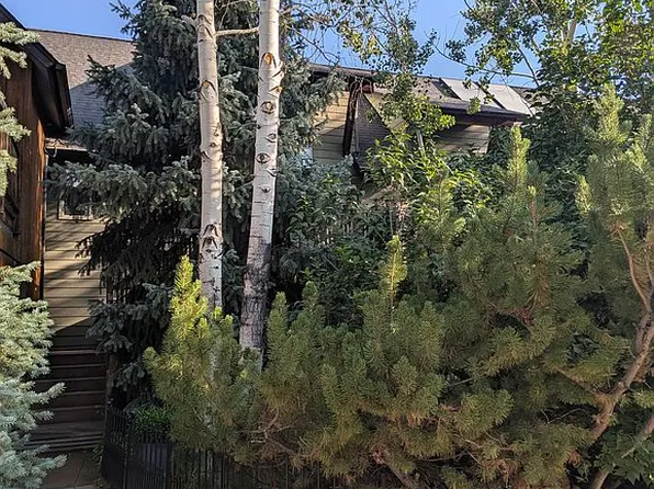 184 Riverdown Dr, Aspen, CO 81611