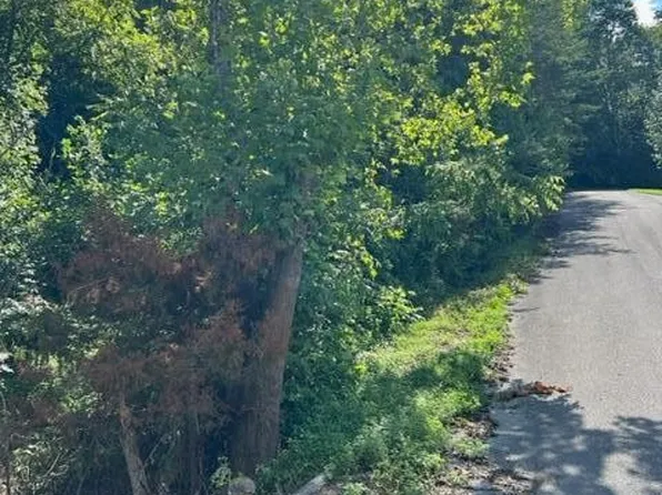 0 Forest Meadow Ln, New Tazewell, TN 37825