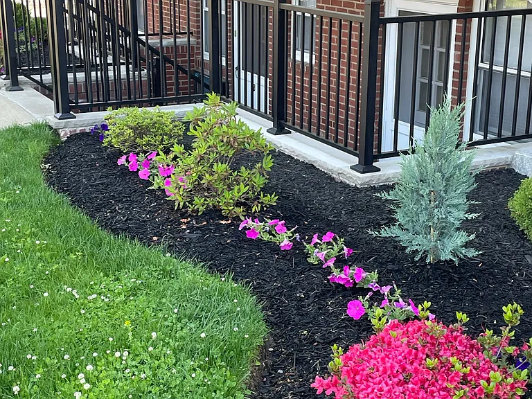 Lafayette Park — Photo 10