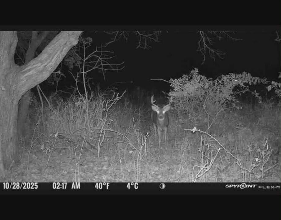 1st image of 0 Springport Rd