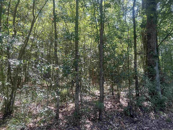 4th image of 10240 Old Plank Rd