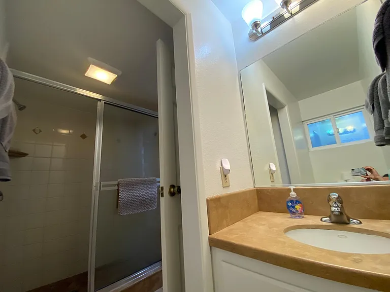 Downstairs Guest Bathroom with walk in shower