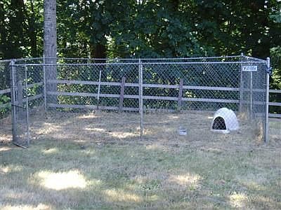 Dog Run