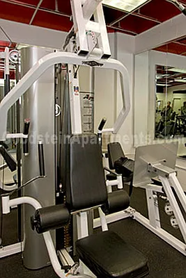 Rented by GoodRock Realty | media 37