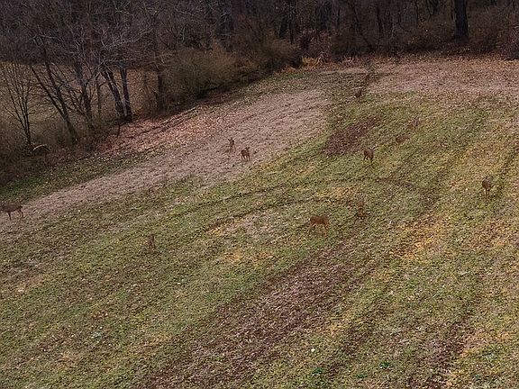 5th image of 0 State Route 60