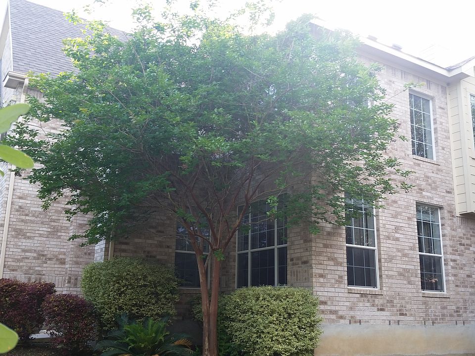 1st image of 13107 Palatine Hl