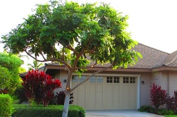 1st image of 68-1122 N Kaniku Dr #104