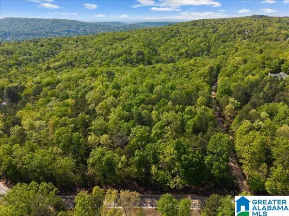 8810 Pine Mountain Rd #0, Pinson, AL 35126