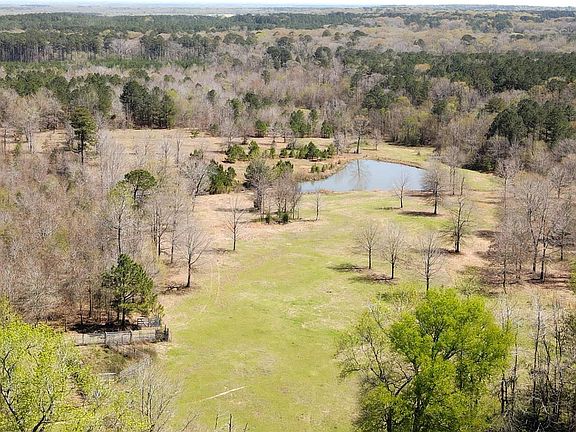 4th image of Trigg Ln