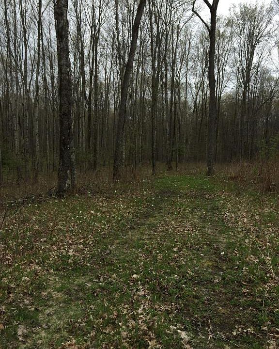 2nd image of 2194 Chard Rd