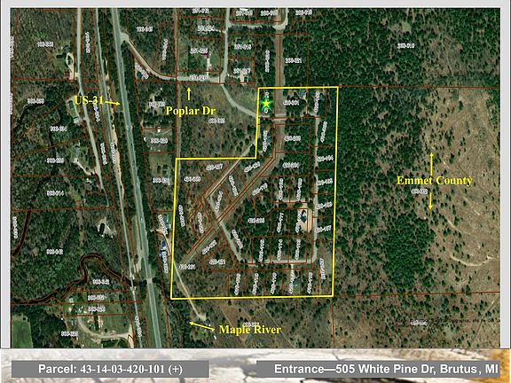 3rd image of 505 White Pine Dr
