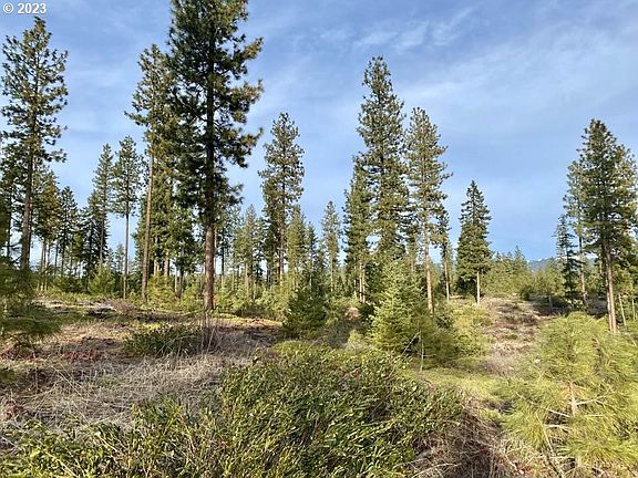 3rd image of Black Butte Lot 12