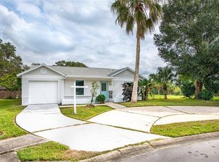 1900 Cuttybay Ct, Oldsmar, FL 34677