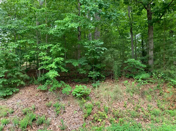 314 Ootsima Ln, Loudon, TN 37774