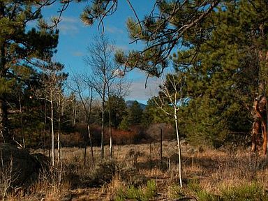 939 Fox Acres Dr W, Red Feather Lakes, CO 80545 | Zillow