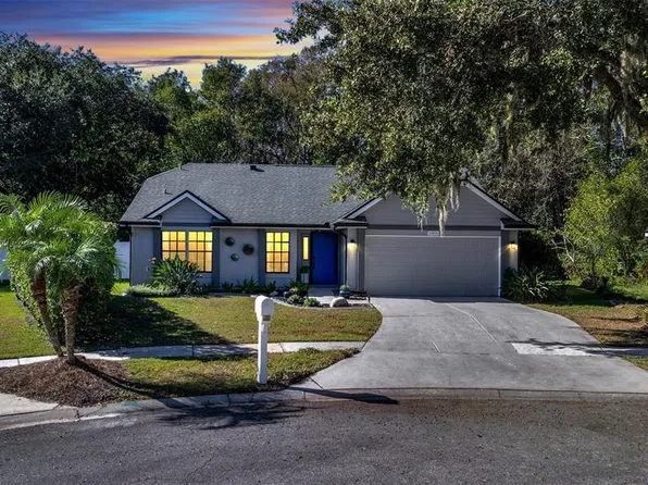 10106 Pink Carnation Ct, Orlando, FL 32825