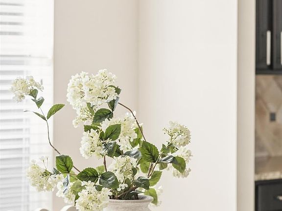 4th image of 1150 Mircos Street