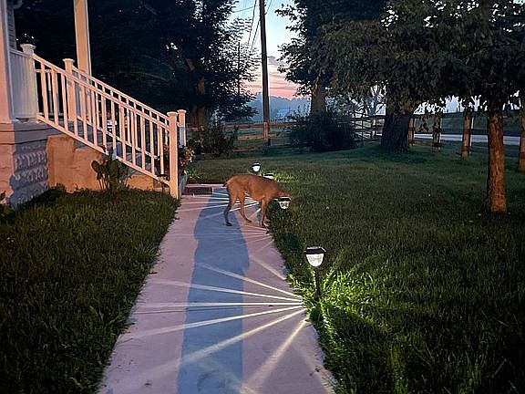 5th image of this home