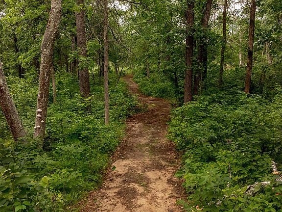 3rd image of 12444 Fawn Lake Rd