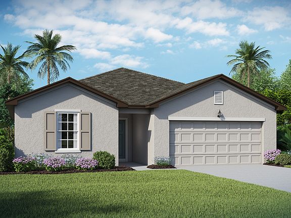 Palmera B