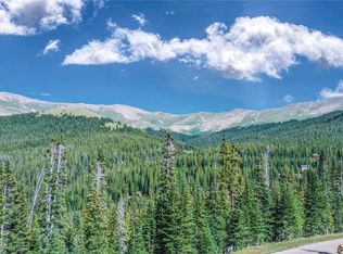127 County Road 805, Breckenridge, CO 80424