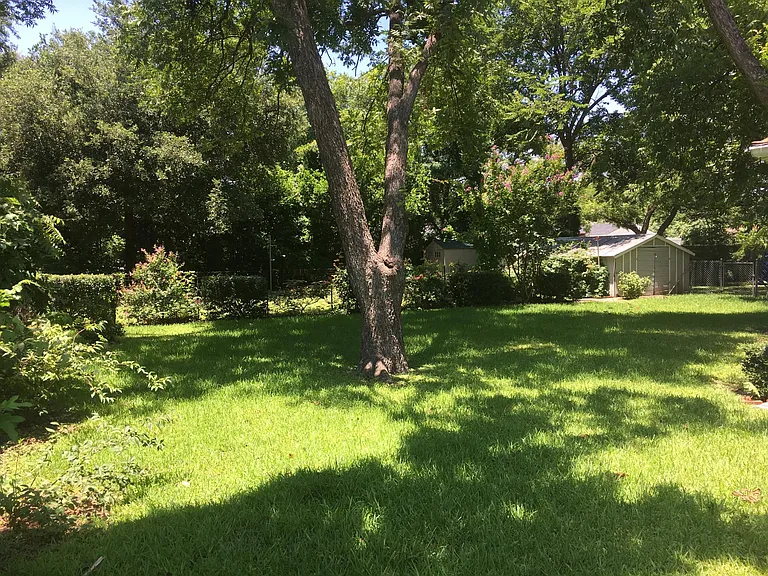 backyard 2