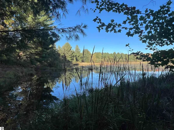 7556 210th Ave, Reed City, MI 49677