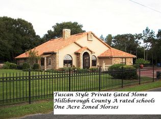 19801 Pine Tree Rd, Odessa, FL 33556