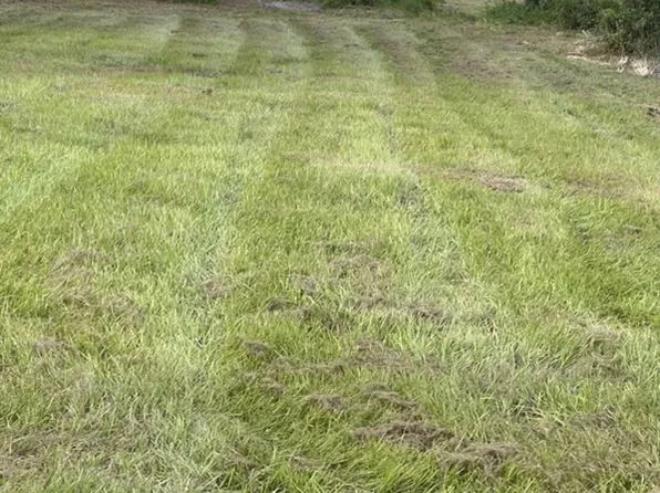 226 Huntington Shortcut Rd #9, Crescent City, FL 32112