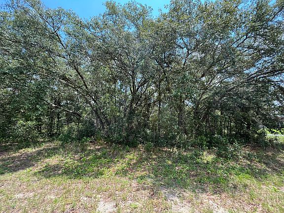 4th image of 9105 N Hawkweed Drive