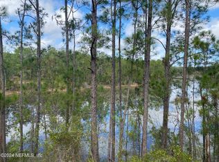 131 Lake Ray Rd, Hawthorne, FL 32640