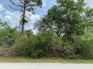 891 Hanford Dr, Deltona, FL 32738