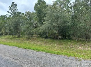 9607 N Lily Dr, Citrus Springs, FL 34434