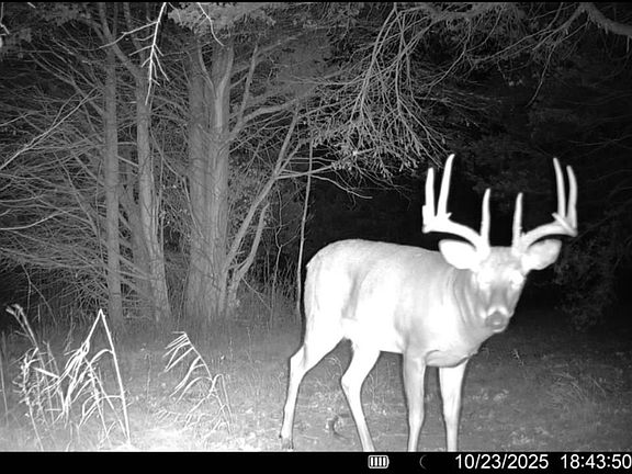 2nd image of 0 County Road J